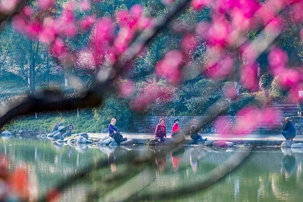 全球经济逆风影响超出地缘局势,原油市场压力山大