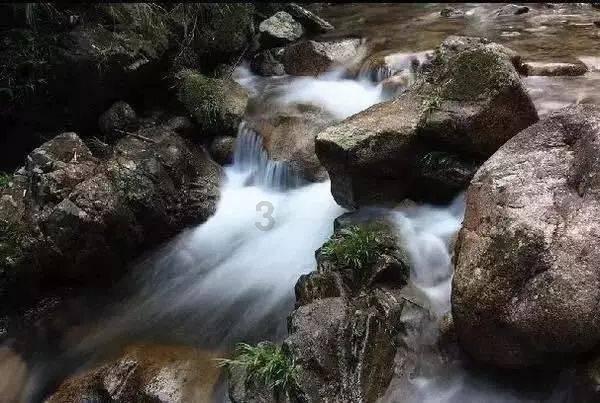 太原五十三中冰壶队在山西省冰壶锦标赛上喜获佳绩