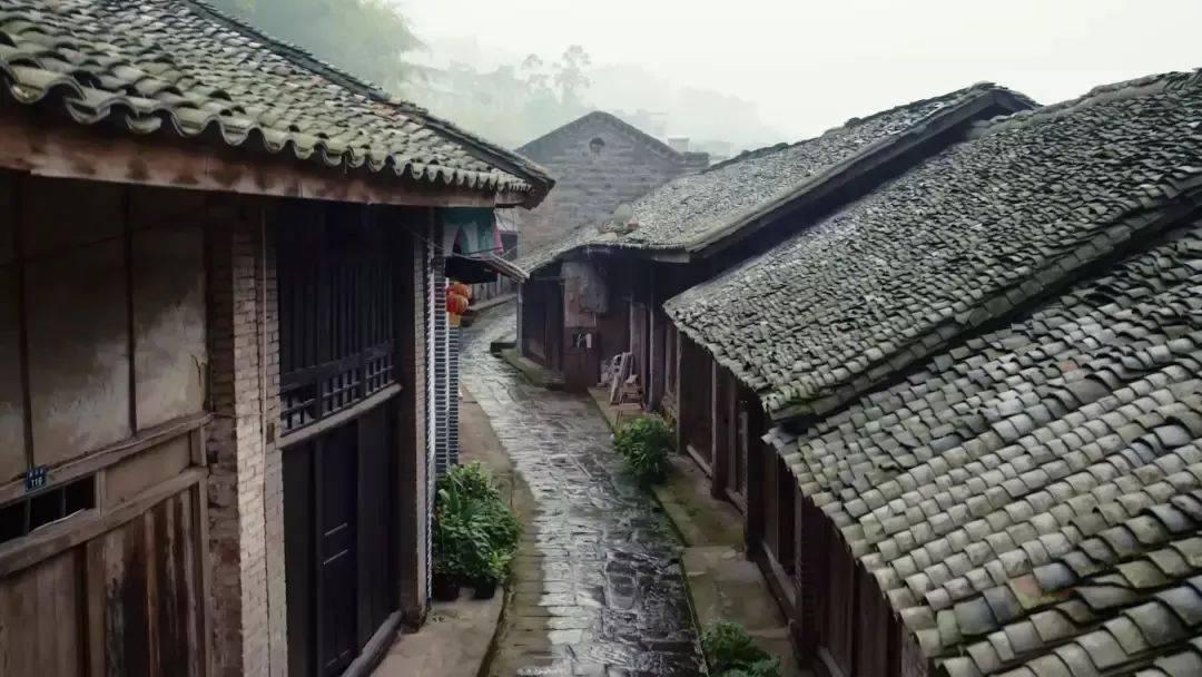 三小只僵尸的游戏时间1